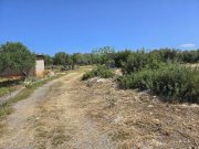 Latsima Kreta, Latsima: Großes bebaubares Grundstück zum Verkauf Grundstück kaufen